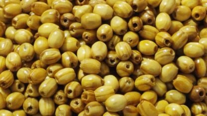 Olive Oval Wooden Beads - 1KG