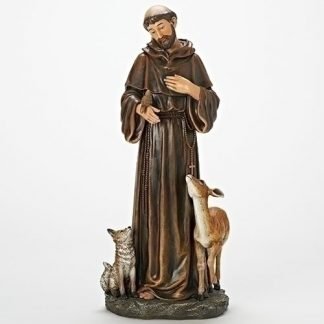 ST. Francis Assisi