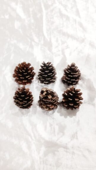 Christmas Decoration Item