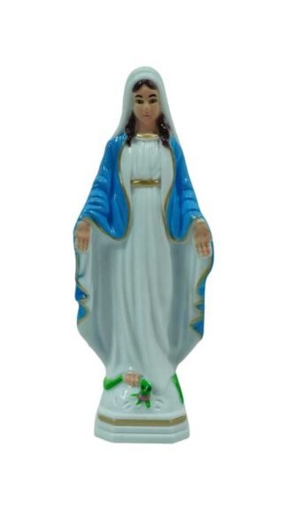 Buy 9.5 Inch Immaculate Mary Statue