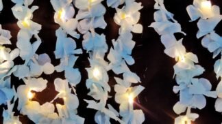 Elegant Warm Blue Serial Light