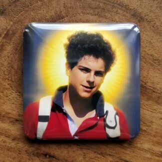 Fridge magnets