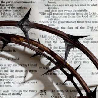 Bible words